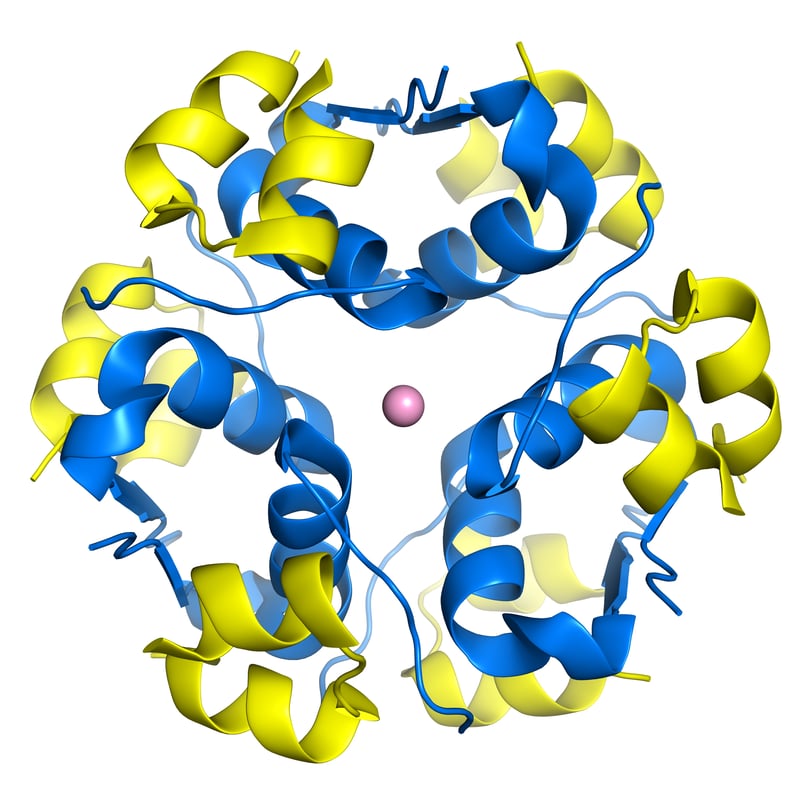 Protein Storage For Protein Stability And Less Protein Degradation